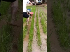 Máy làm cỏ đa chức năng